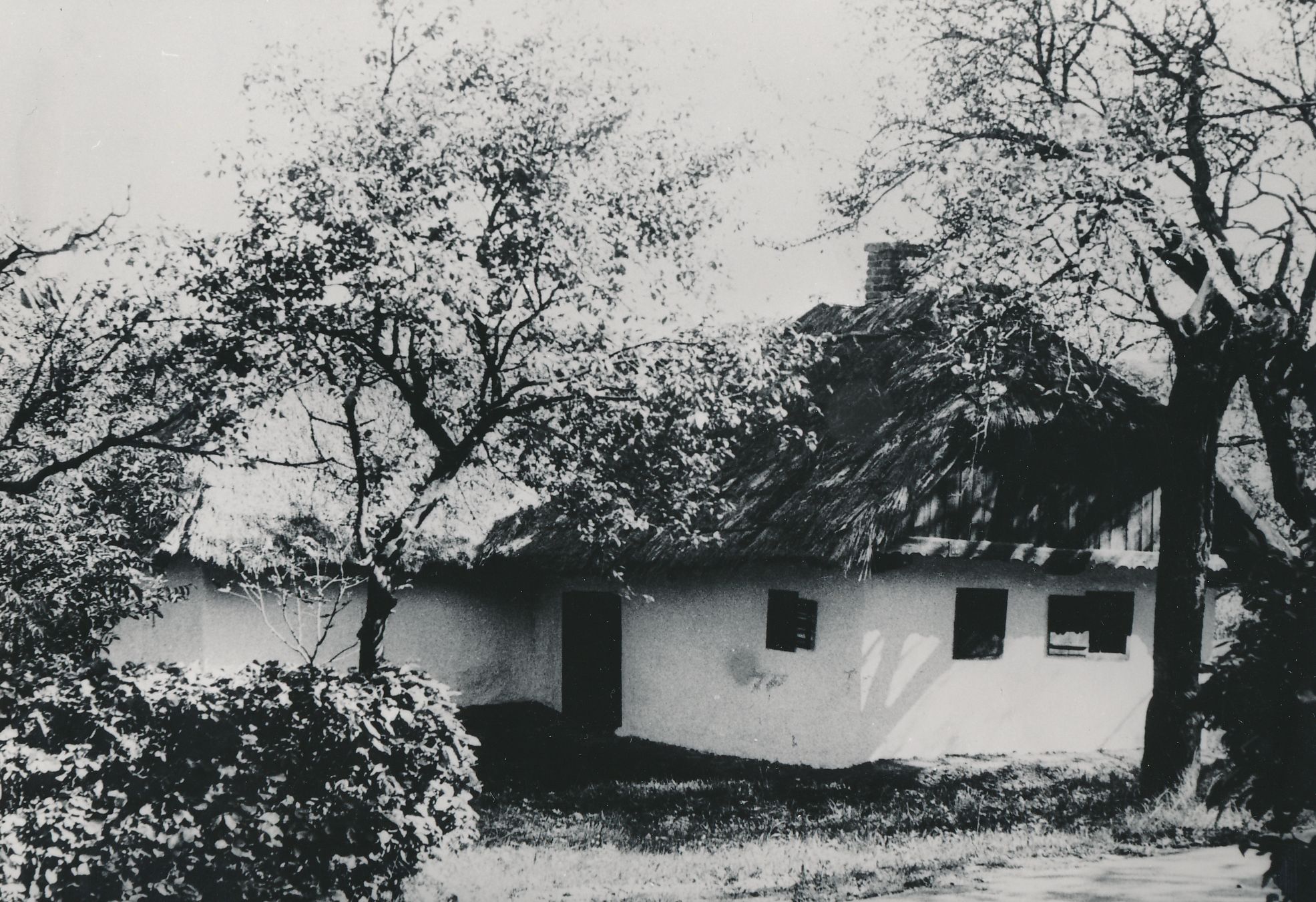 eika image